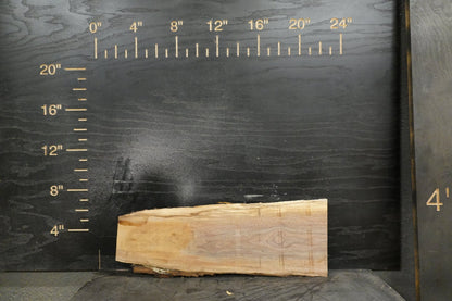 20 - " Walnut & Cedar Wood Kit Live - Edge - Ol Loggin Sawmill