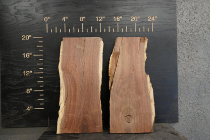 20 - " Walnut & Cedar Wood Kit Live - Edge - Ol Loggin Sawmill