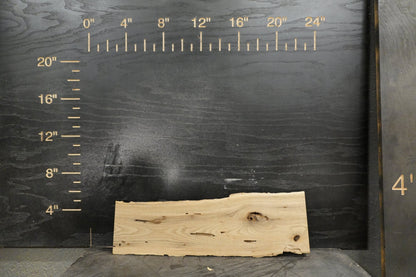 20 - " Walnut & Cedar Wood Kit Live - Edge - Ol Loggin Sawmill