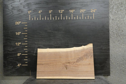 20 - " Walnut & Cedar Wood Kit Live - Edge - Ol Loggin Sawmill