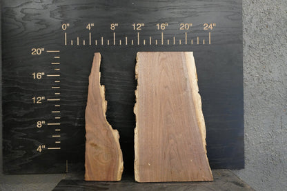 20 - " Walnut & Cedar Wood Kit Live - Edge - Ol Loggin Sawmill