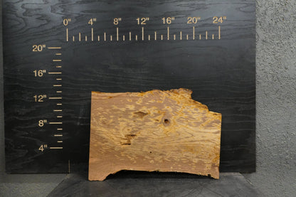 20 - " Walnut & Maple Wood Kit Live - Edge - Ol Loggin Sawmill