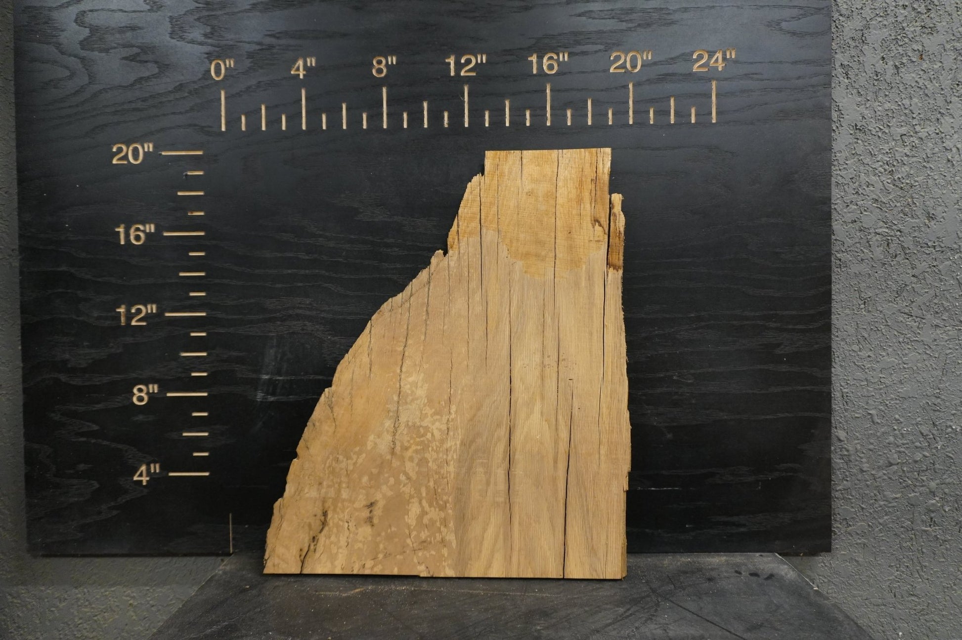 20 - " Walnut & Maple Wood Kit Live - Edge - Ol Loggin Sawmill