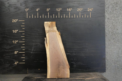 20 - " Walnut & Maple Wood Kit Live - Edge - Ol Loggin Sawmill