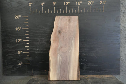 20 - " Walnut Wood Kit Live - Edge - Ol Loggin Sawmill