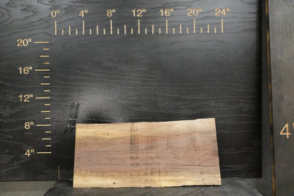 20 - " Walnut Wood Kit Live - Edge - Ol Loggin Sawmill