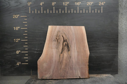 20 - " Walnut Wood Kit Live - Edge - Ol Loggin Sawmill