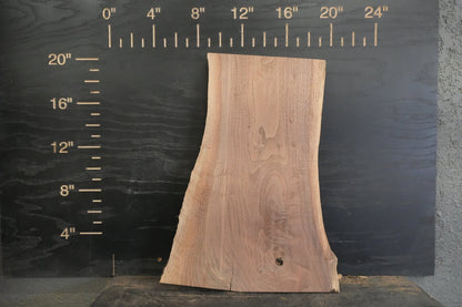 20 - " Walnut Wood Kit Live - Edge - Ol Loggin Sawmill