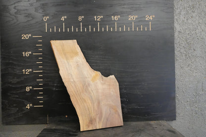 20 - " Walnut Wood Kit Live - Edge - Ol Loggin Sawmill
