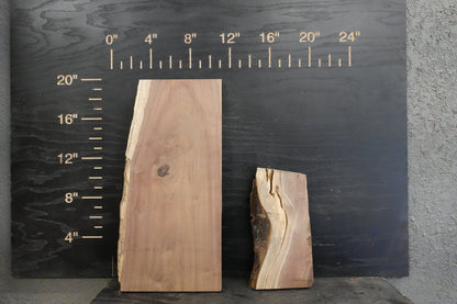 20 - " Walnut Wood Kit Live - Edge - Ol Loggin Sawmill