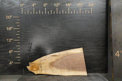20 - " Walnut Wood Kit Live - Edge - Ol Loggin Sawmill