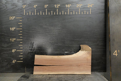 20 - " Walnut Wood Kit Live - Edge - Ol Loggin Sawmill