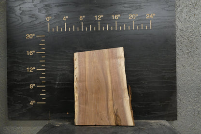 20 - " Walnut Wood Kit Live - Edge - Ol Loggin Sawmill