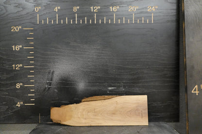 20 - " Walnut Wood Kit Live - Edge - Ol Loggin Sawmill
