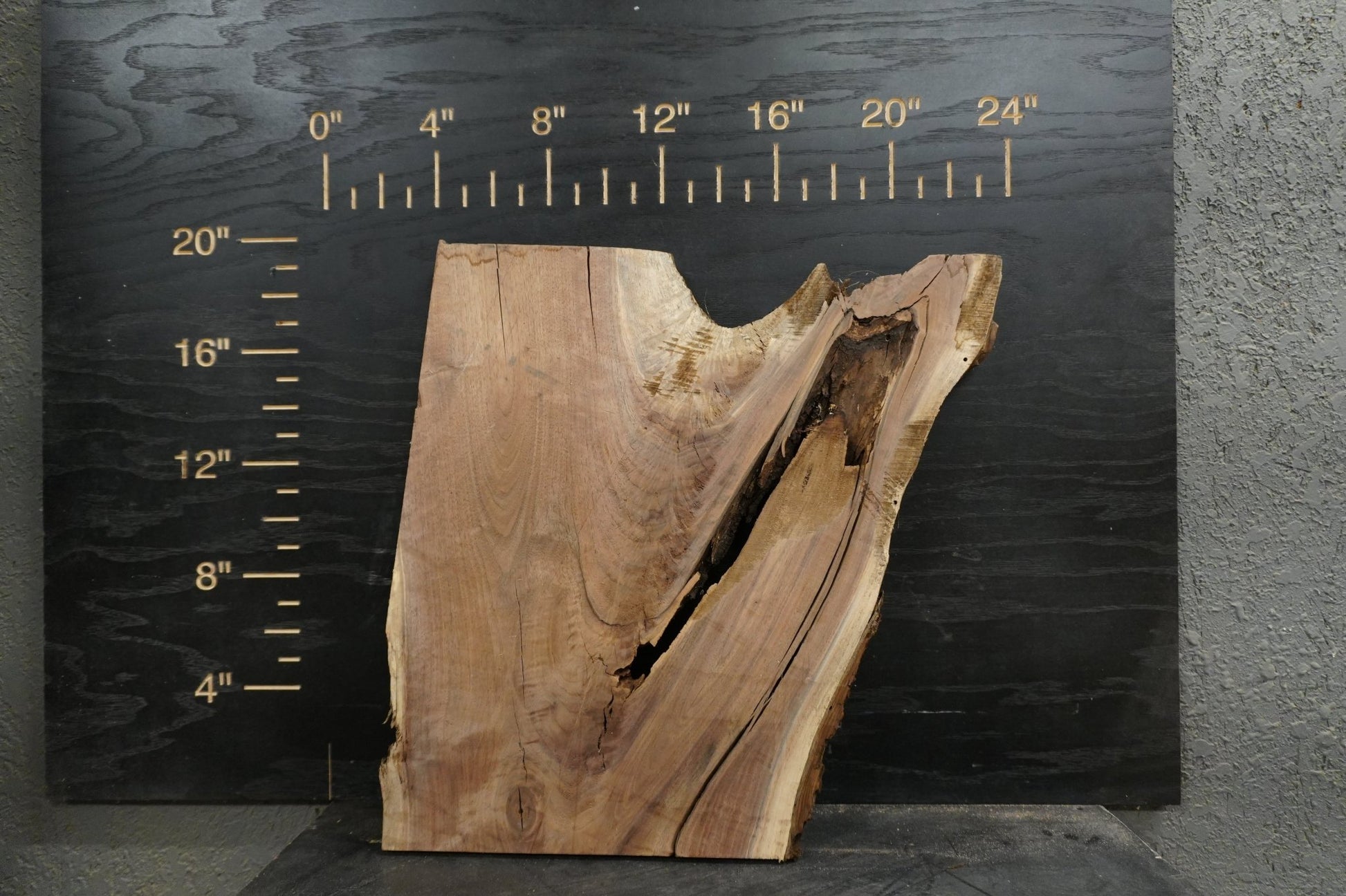20 - " Walnut Wood Kit Live - Edge - Ol Loggin Sawmill