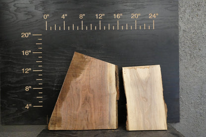 20 - " Walnut Wood Kit Live - Edge - Ol Loggin Sawmill