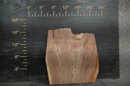 20 - " Walnut Wood Kit Live - Edge - Ol Loggin Sawmill