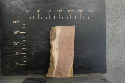 20 - " Walnut Wood Kit Live - Edge - Ol Loggin Sawmill