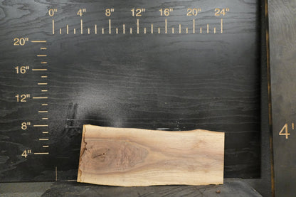 20 - " Walnut Wood Kit Live - Edge - Ol Loggin Sawmill