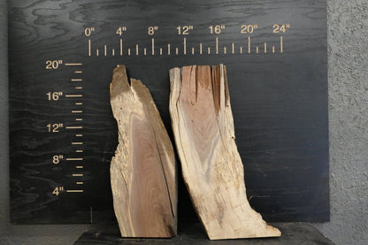20 - " Walnut Wood Kit Live - Edge - Ol Loggin Sawmill