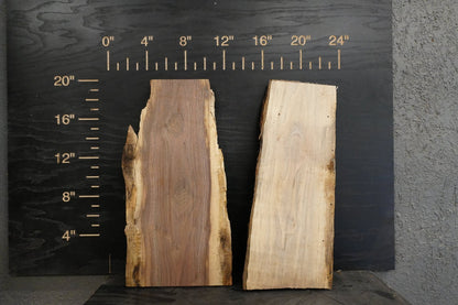 20 - " Walnut Wood Kit Live - Edge - Ol Loggin Sawmill