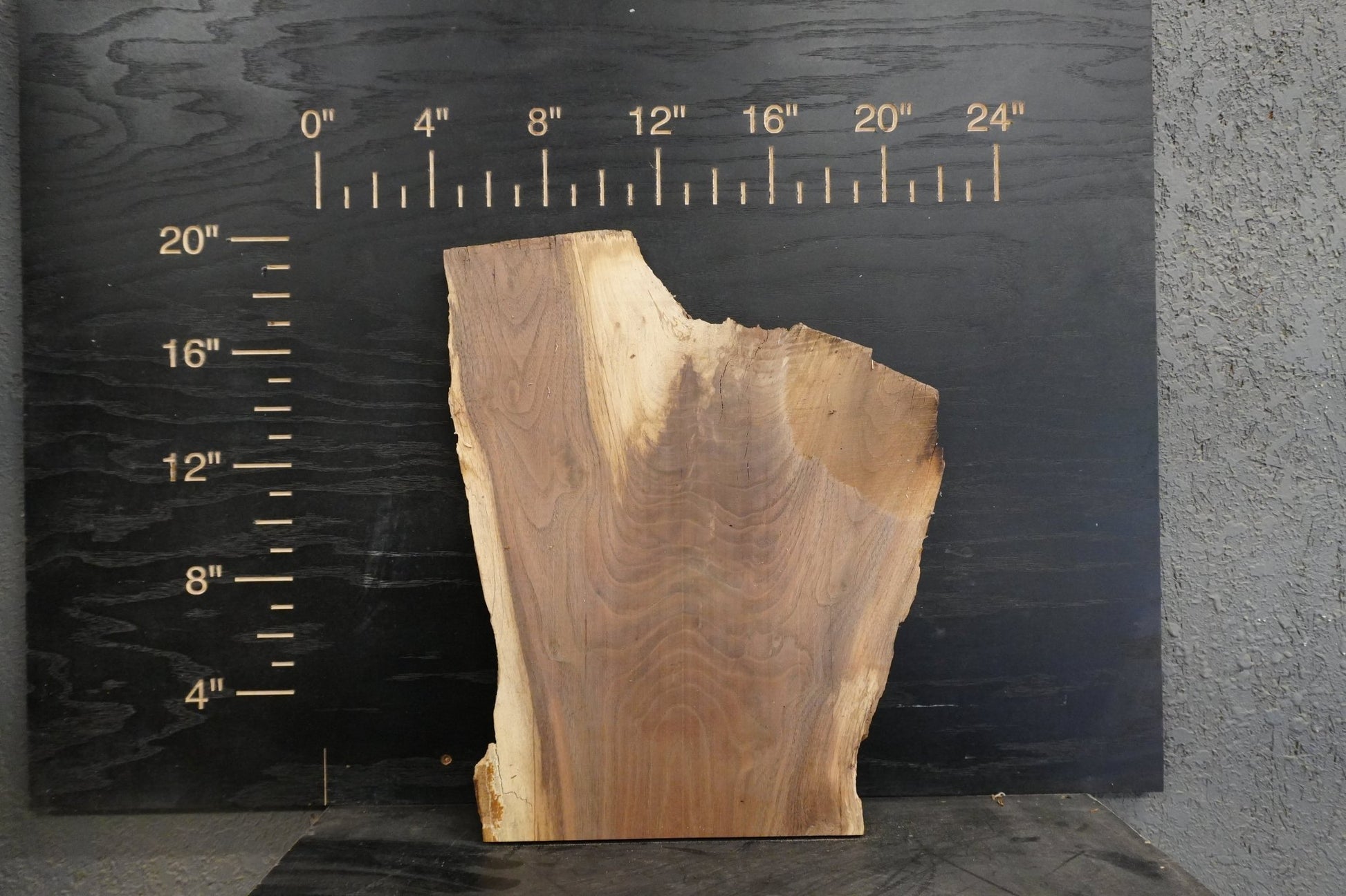 20 - " Walnut Wood Kit Live - Edge - Ol Loggin Sawmill