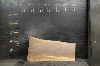 20 - " Walnut Wood Kit Live - Edge - Ol Loggin Sawmill