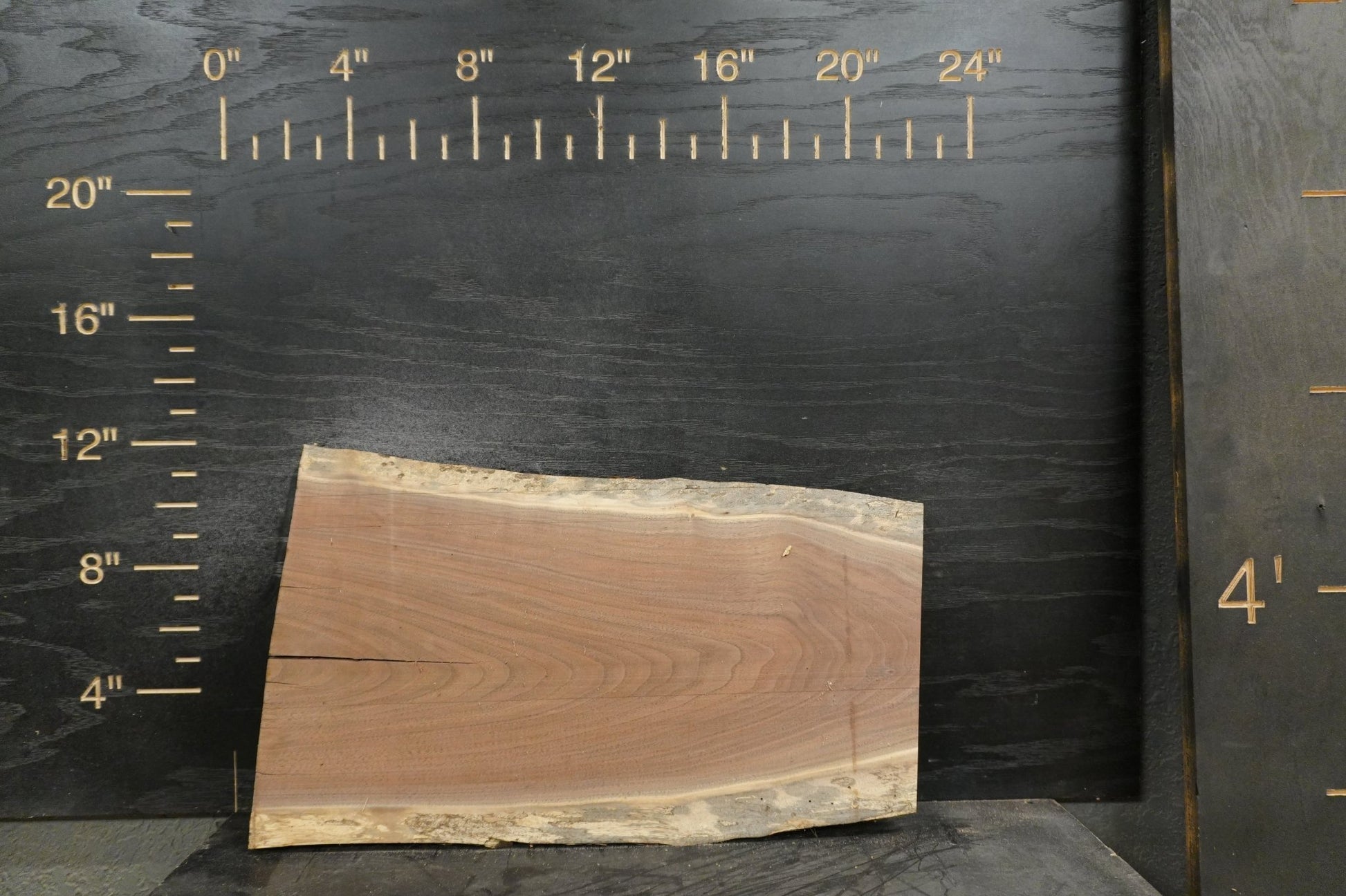 20 - " Walnut Wood Kit Live - Edge - Ol Loggin Sawmill
