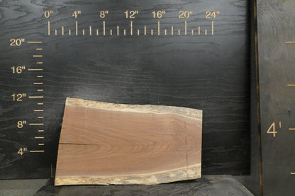 20 - " Walnut Wood Kit Live - Edge - Ol Loggin Sawmill