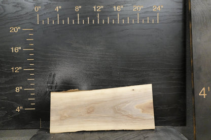 20 - " Walnut Wood Kit Live - Edge - Ol Loggin Sawmill