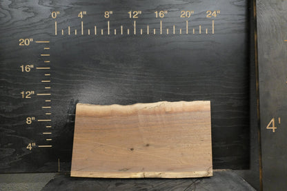 20 - " Walnut Wood Kit Live - Edge (large Pieces) - Ol Loggin Sawmill