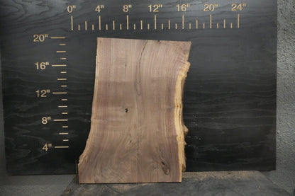 20 - " Walnut Wood Kit Live - Edge (large Pieces) - Ol Loggin Sawmill