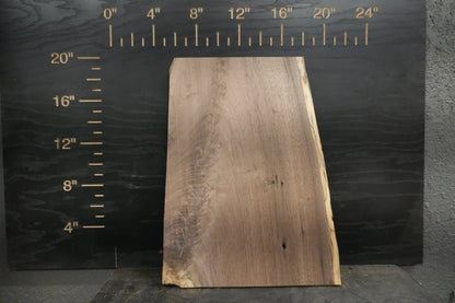 20 - " Walnut Wood Kit Live - Edge (large Pieces) - Ol Loggin Sawmill