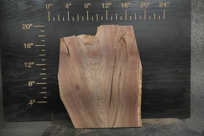 20 - " Walnut Wood Kit Live - Edge (large Pieces) - Ol Loggin Sawmill