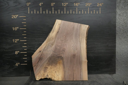 20 - " Walnut Wood Kit Live - Edge (large Pieces) - Ol Loggin Sawmill