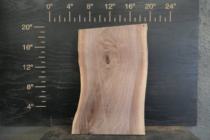 20 - " Walnut Wood Kit Live - Edge (large Pieces) - Ol Loggin Sawmill