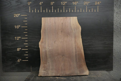 20 - " Walnut Wood Kit Live - Edge (large Pieces) - Ol Loggin Sawmill