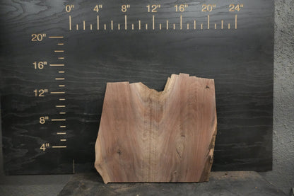 20 - " Walnut Wood Kit Live - Edge (large Pieces) - Ol Loggin Sawmill