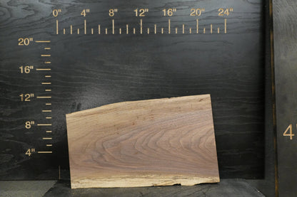 20 - " Walnut Wood Kit Live - Edge (large Pieces) - Ol Loggin Sawmill