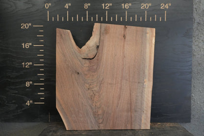 20 - " Walnut Wood Kit Live - Edge (large Pieces) - Ol Loggin Sawmill