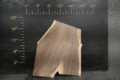 20 - " Walnut Wood Kit Live - Edge (large Pieces) - Ol Loggin Sawmill