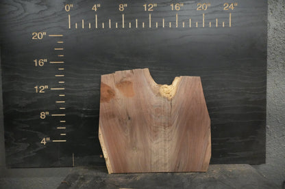 20 - " Walnut Wood Kit Live - Edge (large Pieces) - Ol Loggin Sawmill