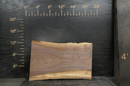 20 - " Walnut Wood Kit Live - Edge (large Pieces) - Ol Loggin Sawmill