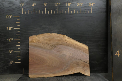 20 - " Walnut Wood Kit Live - Edge (large Pieces) - Ol Loggin Sawmill