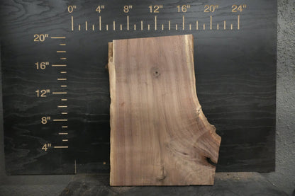 20 - " Walnut Wood Kit Live - Edge (large Pieces) - Ol Loggin Sawmill