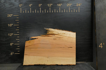 20 - " Walnut Wood Kit Live - Edge (large Pieces) - Ol Loggin Sawmill