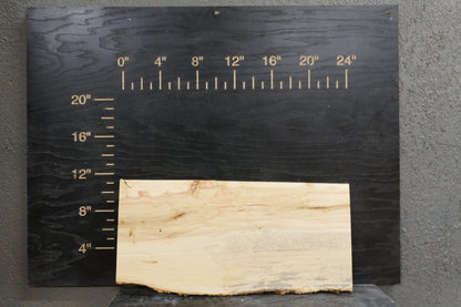 24" Boxelder Dimensional Wood Kit Live - Edge - Ol Loggin Sawmill
