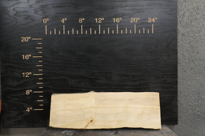 24" Walnut, Cherry, Elm, Maple, Cedar, Boxelder Wood Kit Live - Edge - Ol Loggin Sawmill