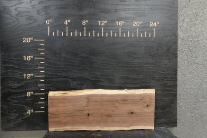 24" Walnut Dimensional Wood Kit (S2S) - Ol Loggin Sawmill