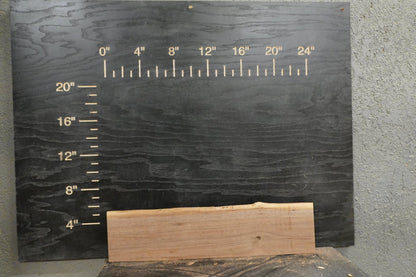 24" Walnut Dimensional Wood Kit (S2S) - Ol Loggin Sawmill